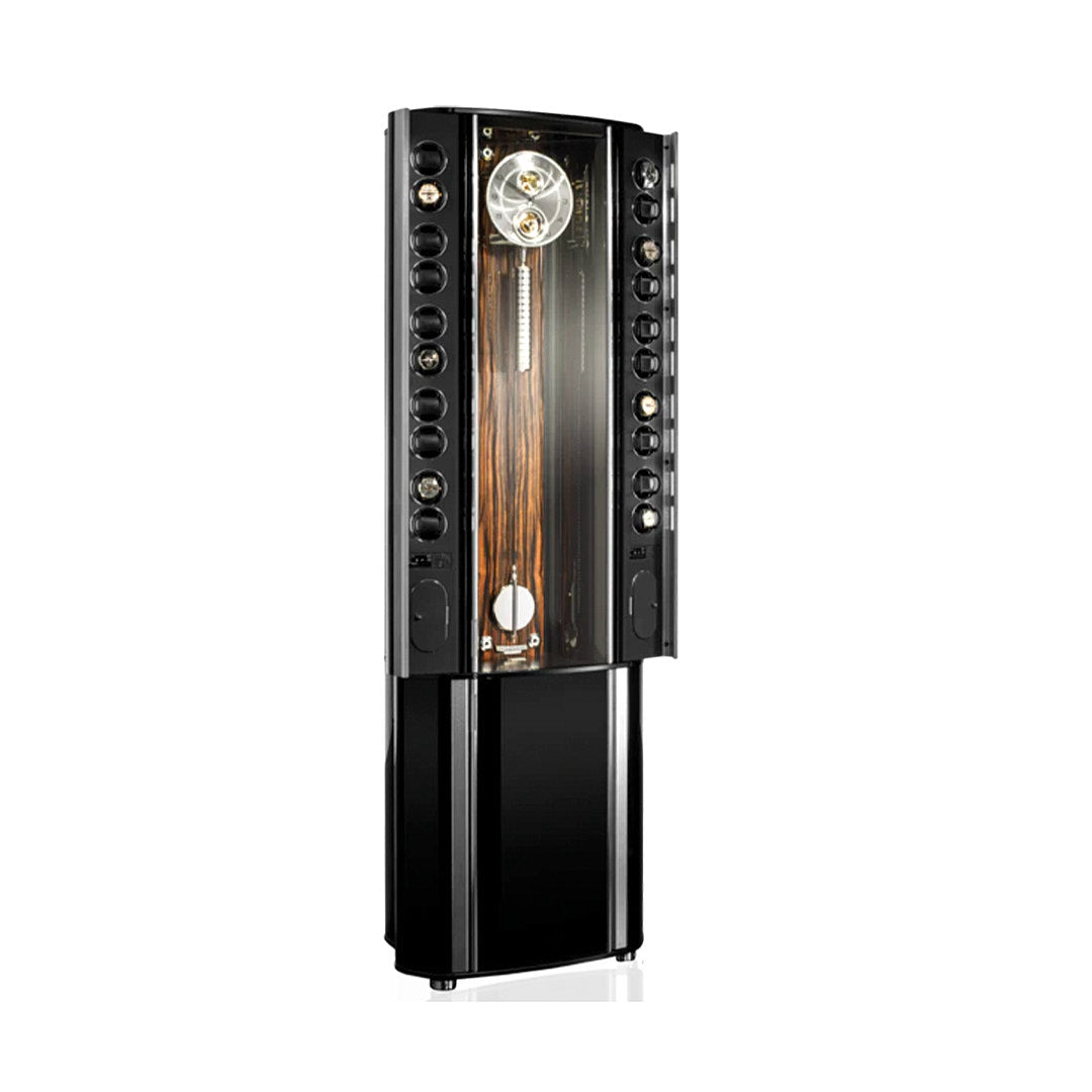 Buben & Zorweg Grande Infinity Safe Macassar